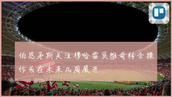 伯恩茅斯关注穆哈雷莫维奇转会操作或在未来几周展开