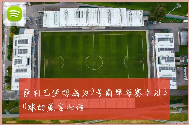 萨利巴梦想成为9号前锋每赛季进30球的豪言壮语